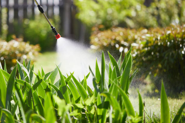 24/7 Emergency Mosquito Control experts in Morton, IL