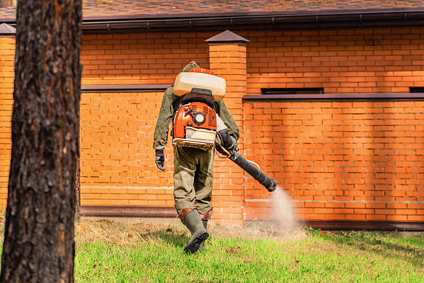 Top rated local Mosquito Control specialists in Morton, IL